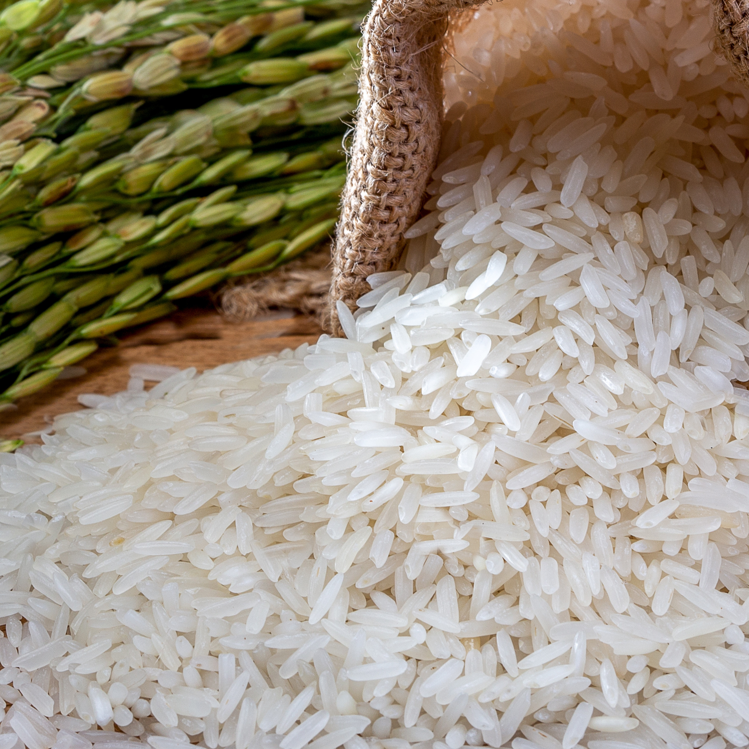 Rice - Skincare Ingredients - K-Beauty - Lady Bonita