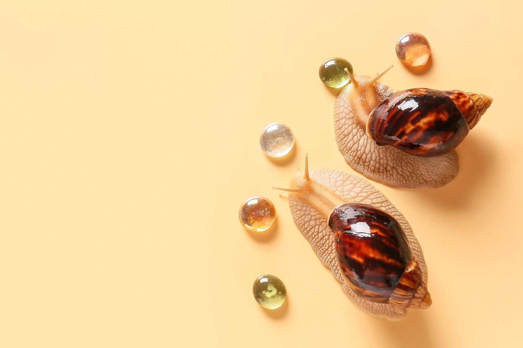 Snail Mucin