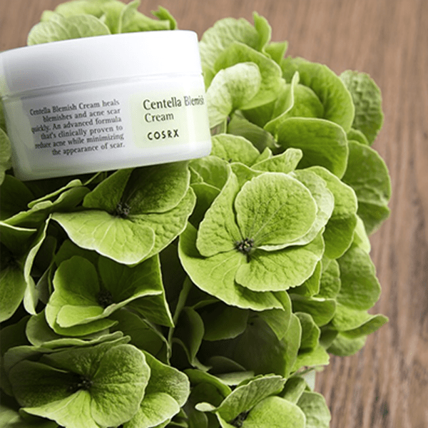 Cosrx. Centella Blemish Cream CREAM - Lady Bonita