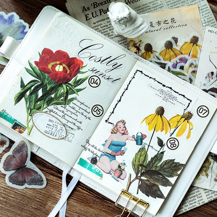 Decorative Vintage Journal Diary [60 Sheets] Decorative Stickers - Lady Bonita